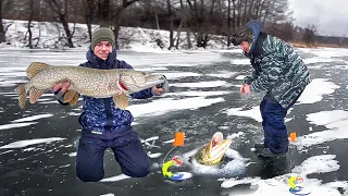 ДЕД НАШЁЛ ЗИМОВАЛЬНУЮ ЯМУ... СКОЛЬКО ЩУКИ с ОДНОЙ ЛУНКИ!!! РЫБАЛКА на ЖЕРЛИЦЫ 2024