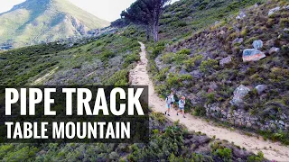 Pipe Track Trail | Table Mountain | Cape Town