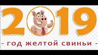 С НАСТУПАЮЩИМ НОВЫМ 2019 ГОДОМ! Год желтой свиньи