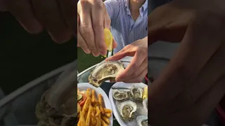 Fresh Raw Oysters