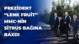 Prezident Lənkəranda sitrus bağında yaradılan şəraitlə tanış oldu