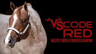 VS Code Red: 2007 Red Roan AQHA Stallion