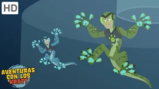 Aventuras con los Kratt | pájaros de una pluma | Episodio Completo | Temporada 1