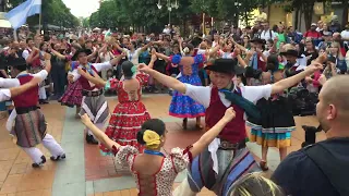 Argentine Traditional Dances | Sofia's Annual Cultural Festival | Vitosha Pedestrian Way - Bulgaria