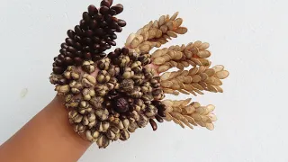 [ Nice Hand ] Amazing removing seed ticks style on palm chubby boy | Designed from fruit seeds