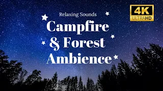 4 HRS  FOREST AMBIENCE AND CAMPFIRE CRACKLING ~ LISTEN TO THE GREAT OUTDOORS 🍂. Soothing Relaxation