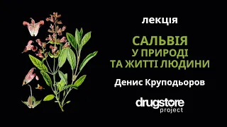 Сальвія: освітня лекція від DRUGSTORE