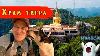 Храм тигра Таиланд, Краби.  Tiger cave temple.