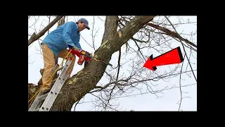 Tree Cutting Fails Compilation And Idiots With Chainsaw ! Dangerous skills Tree Falling #16