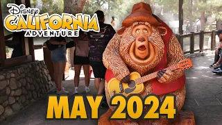 Disney California Adventure - May 2024 Walkthrough - New Country Bear Statue & Pixar Fest [4K POV]