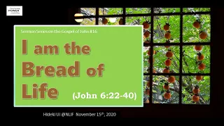 I Am the Bread of Life (John 6:22-40)