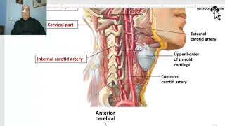 Anatomy of head and neck module in Arabic 71 (Subclavian artery, part 2) , by Dr. Wahdan