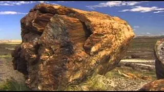 Petrified Forest Vacation Travel Video Guide