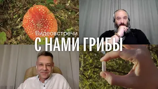 С нами грибы. Микродозинг и целеполагание. Дмитрий Долгих, Михаил Вишневский