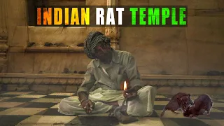 I went inside INDIA's RAT TEMPLE | Short Doco