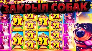 ПОКУПАЮ ДОРОГИЕ БОНУСКИ В СОБАКАХ! ДЕРЖАЛСЯ КАК МОГ!