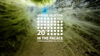 THE STREAM XII Trailer // 20th IN THE PALACE ISFF