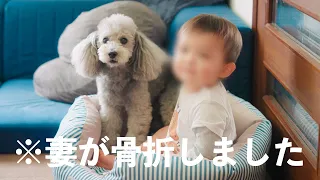 🐶【ワンオペ育児】妻が骨折して大ピンチ！我が家のリアルな１日のルーティン【DEEBOT T30 PRO OMNI】