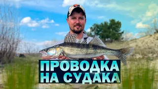 СУДАК НЕ ВСТОЇТЬ!  ПРОВОДКА на СУДАКА в КВІТНІ