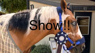 Dressage show!! #equestrian #horse #pony #magic