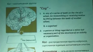 Константин Анохин - Разумный мозг: гиперсетевой принцип организации высших нервных функций