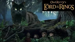 Lord of the Rings + My Cat