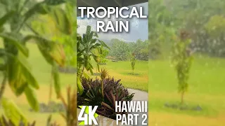 Relaxing Therapy of Tropical Rain for Vertical Screen 4K - Downpour Sound & Birds Songs on Hawaii #2