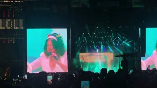 Diet Mountain Dew - LANA DEL REY (LOLLAPALOOZA23)