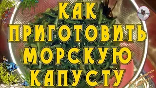 КАК ПРИГОТОВИТЬ МОРСКУЮ КАПУСТУ. ВИДЕО РЕЦЕПТ