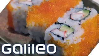 Wie frisch ist Sushi-Fisch? | Galileo | ProSieben