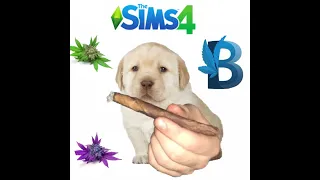 basemental mod // how to assign a dealer, buy weed, and smoke it in sims 4
