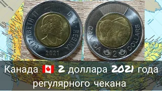 Канада 2 доллара 2021 года регулярного чекана