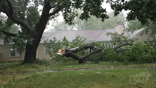 08-10-20 Rockford and Harvard, Illinois, Severe Wind, Damage, And Flooding