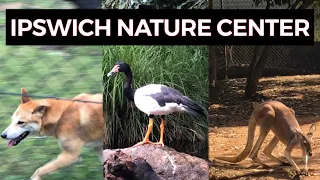 IPSWICH NATURE CENTER, PARK AND ZOO | Ipswich, Queensland #pinoy