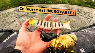 Pêche au SWIMBAIT : SURPRISE en pêchant le BROCHET !