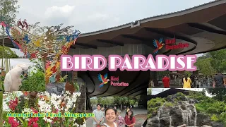 LET'S GO TO BIRD PARADISE/PENGUIN COVE/Dhee's Videos#birdparadise #birds #attractions #penguins