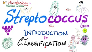 Streptococci | Introduction and Classification (Group A, Group B, Group D) | Microbiology 🧫