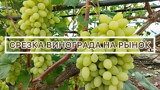 Виноград на рынок.28 июля 2022 г.