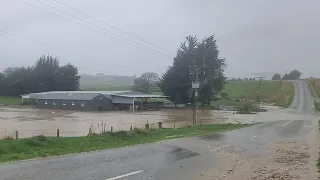 Thunderstorms and floods mid lambing!