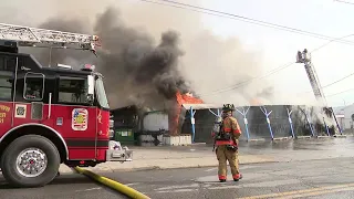Businesses gutted by smoky fire in Edwardsville