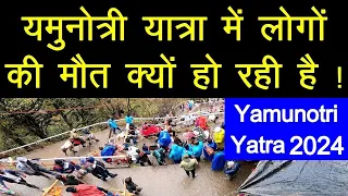 यमुनोत्री यात्रा में जा रही लोगों की जान ! सावधानी और जरुरी बातें | Yamunotri Yatra 2024