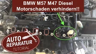BMW Drallklappen entfernen um Motorschaden zu verhindern ‼️ M57 M47 | DIY Tutorial
