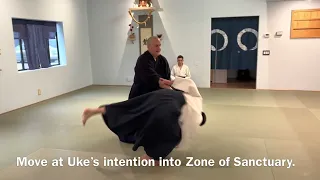 Aikido: Jiyu Waza with the Traditional Strikes (Takemusu Aiki)