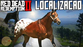 Como pegar uma Appaloosa em Red Dead - Nova localização #rdr2