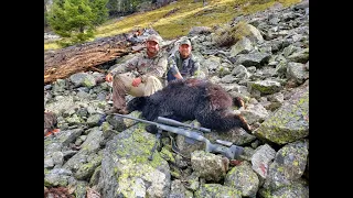 2021 Idaho Black Bear Hunt.