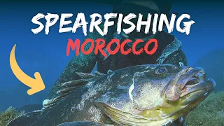 Spearfishing  MOROCCO MERO SEABASS SAR and BARACUDA
