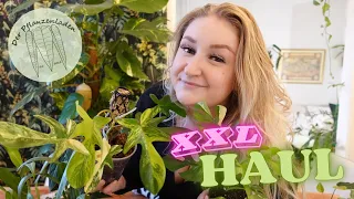 XXL PFLANZEN HAUL ✨ | Der Pflanzenladen 🪴