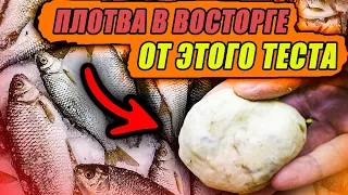 5 КГ ПЛОТВЫ с ОДНОЙ ЛУНКИ за НЕСКОЛЬКО ЧАСОВ! Я ИЗОБРЁЛ ЛУЧШЕЕ ТЕСТО для ЗИМНЕЙ РЫБАЛКИ!!!