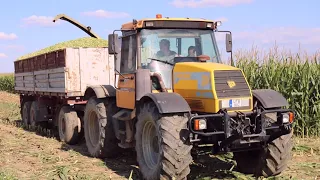 Kukorica silózás 2x IFA W50 LAZ, JCB FASTRAC 125, Claas Jaguar 695