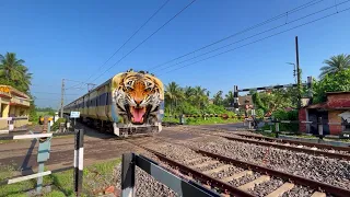 Dangerous Angry Tiger Speed : Jangipur Memu Passengers Furious Passing Throughout Railgate